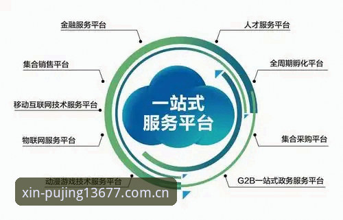 新浦京体育平台一站式服务攻略最新动态 v3.1.0版本玩法解析与实战体验